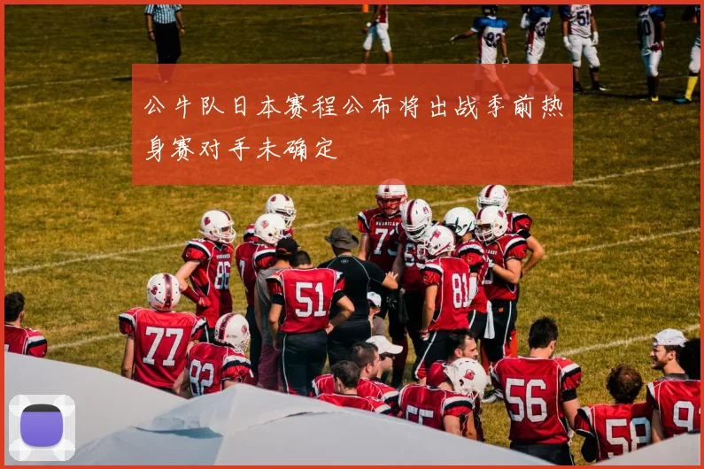 公牛队日本赛程公布将出战季前热身赛对手未确定