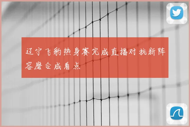 辽宁飞豹热身赛完成直播对抗新阵容磨合成看点