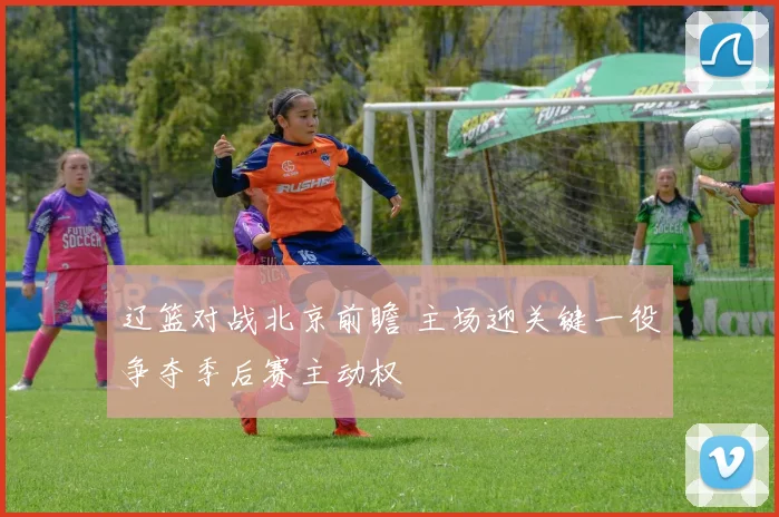 辽篮对战北京前瞻 主场迎关键一役争夺季后赛主动权