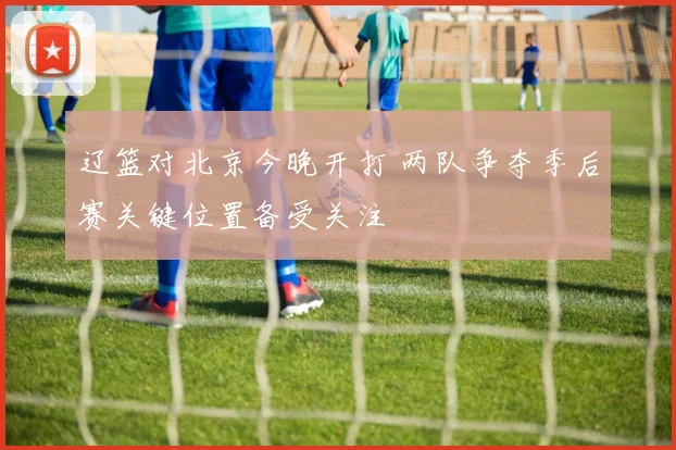 辽篮对北京今晚开打 两队争夺季后赛关键位置备受关注