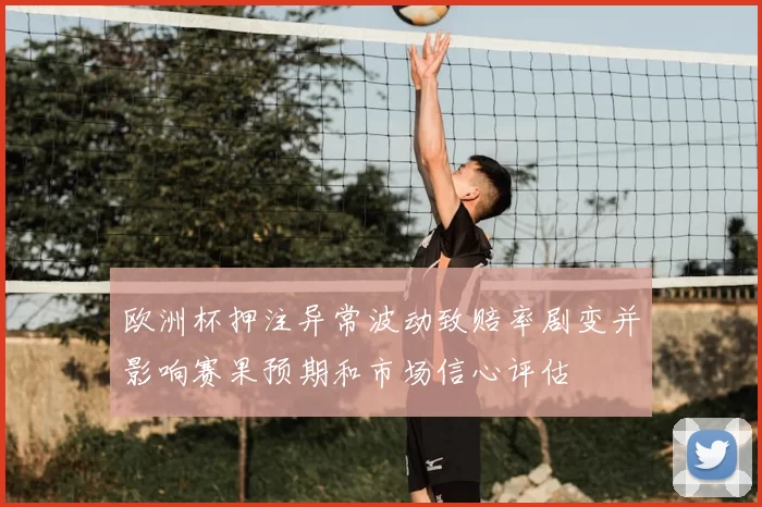 欧洲杯押注异常波动致赔率剧变并影响赛果预期和市场信心评估